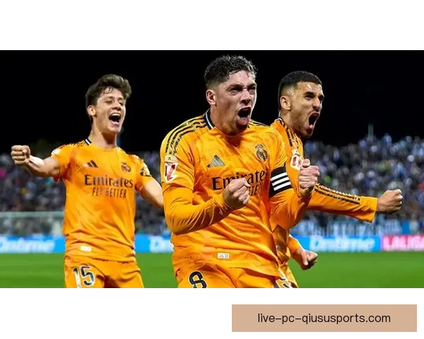 雨燕直播平台高清足球赛事免费在线观看精彩内容全程无广告直播